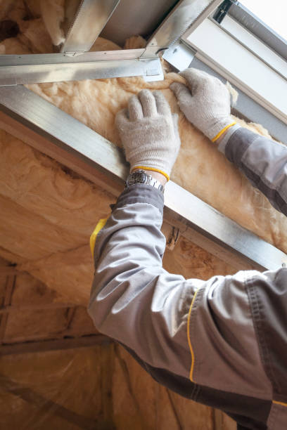 Best Insulation for New Construction  in Pleasant Ridge, MI